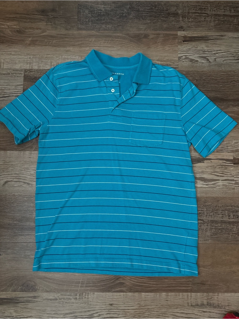 Saddlebred Teal Striped Short-Sleeve Polo